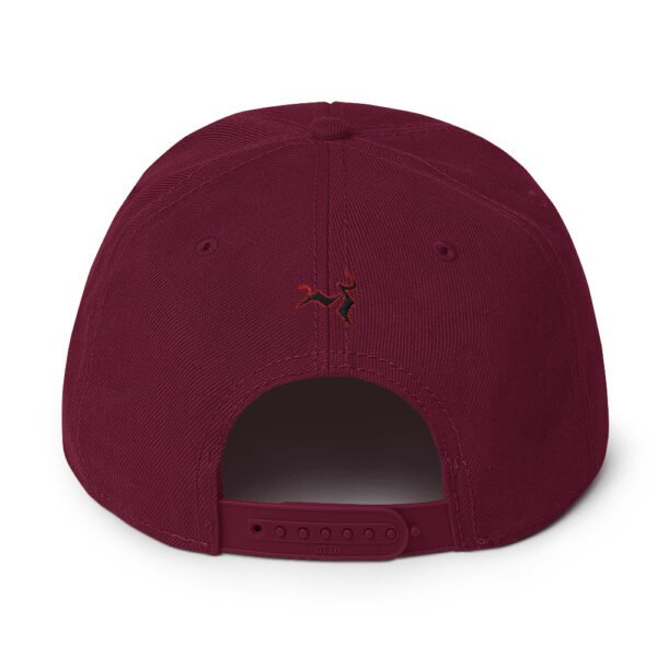 NF Snapback Hat - Image 26