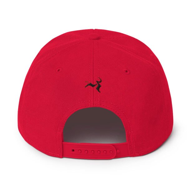 NF Snapback Hat - Image 34