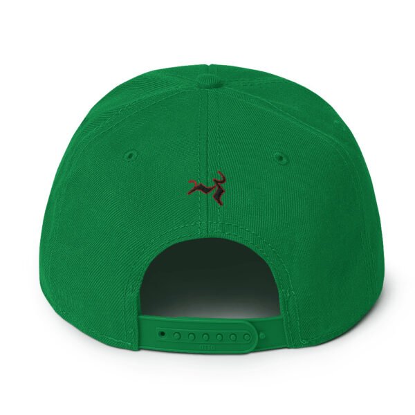 NF Snapback Hat - Image 24